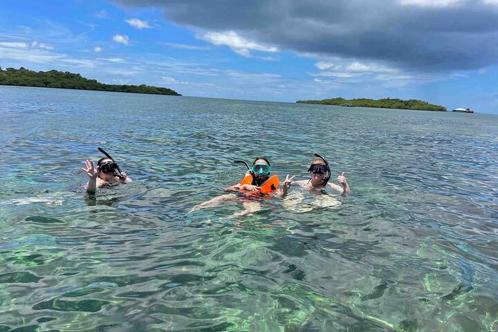 Bocas Del Toro Dolphin Bay, Chokladfarm och Snorkeltur