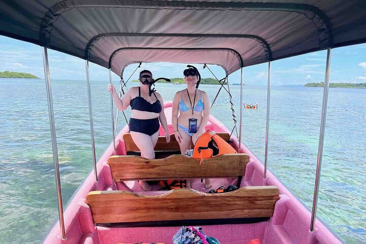 Bocas Del Toro Dolphin Bay, Chokladfarm och Snorkeltur