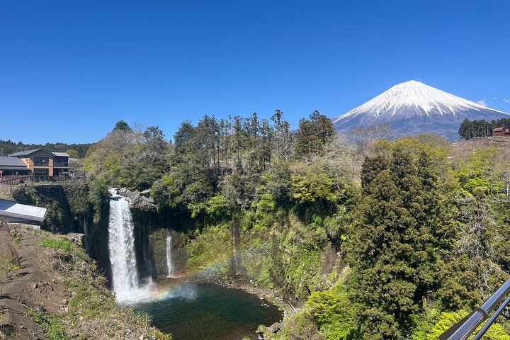 Excursion en voiture de groupe à Fuji par le port de Shimizu avec Guide local