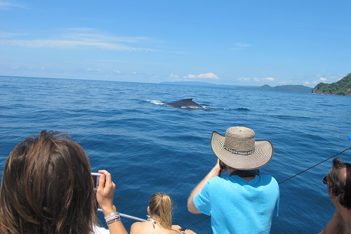 Tortuga Insel Schnorchelboot Tour von Santa Teresa Costa Rica