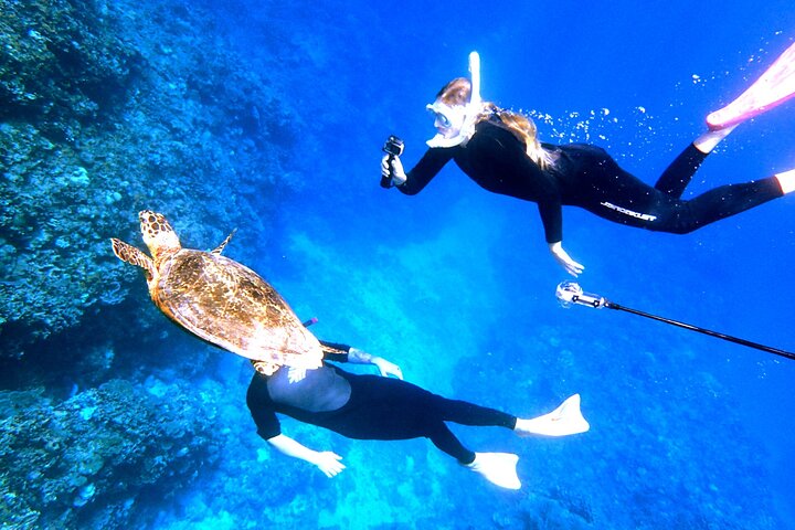 Okinawa/Naha:Full-Day Kerama Island Experience Diving/Snorkeling
