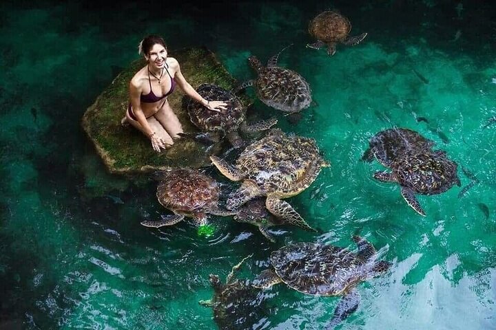 Dólares de Zanzibar, Turtle Salaam Cave & Jozani Forest