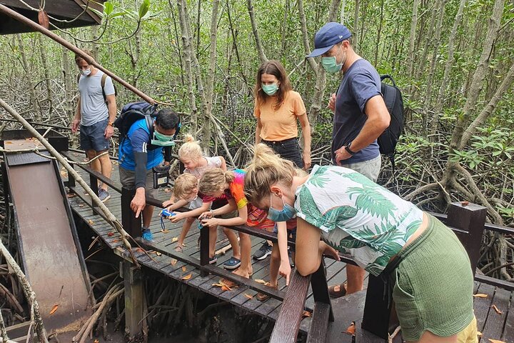 Randonnée dans la forêt de mangrove et promenade en bateau sur la rivière avec un guide privé de Hua Hin