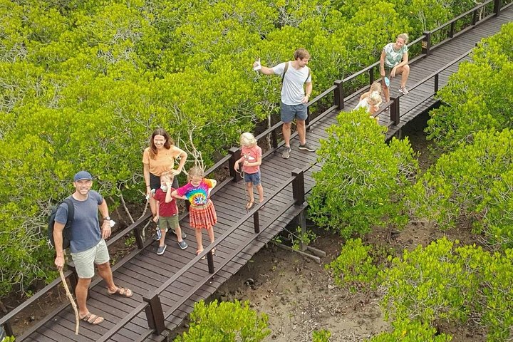 Randonnée dans la forêt de mangrove et promenade en bateau sur la rivière avec un guide privé de Hua Hin