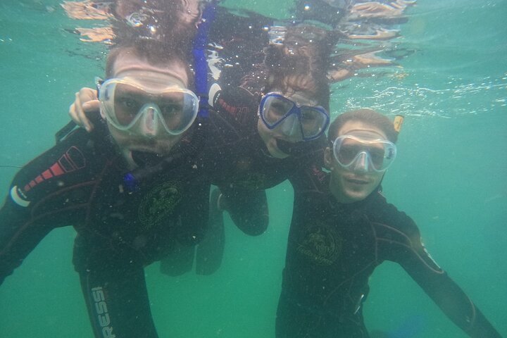 Begeleid snorkelen met foto's in Turtle Paradise
