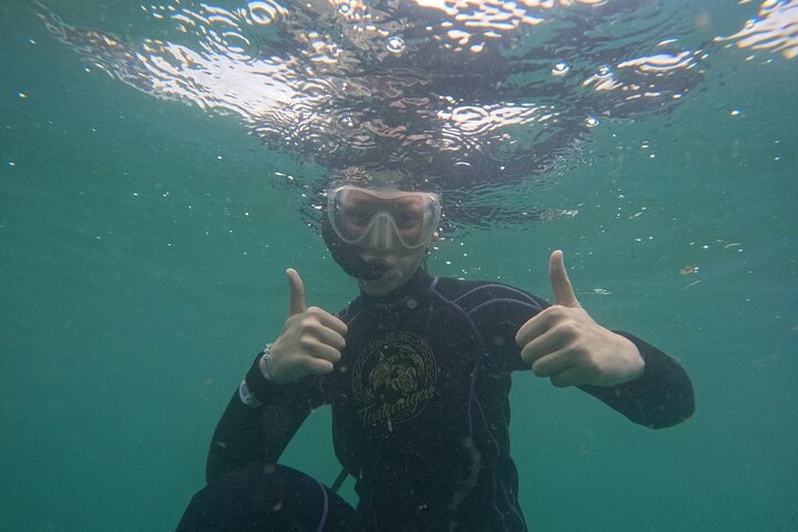 Begeleid snorkelen met foto's in Turtle Paradise