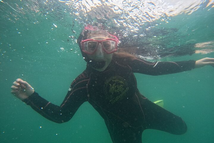 Begeleid snorkelen met foto's in Turtle Paradise