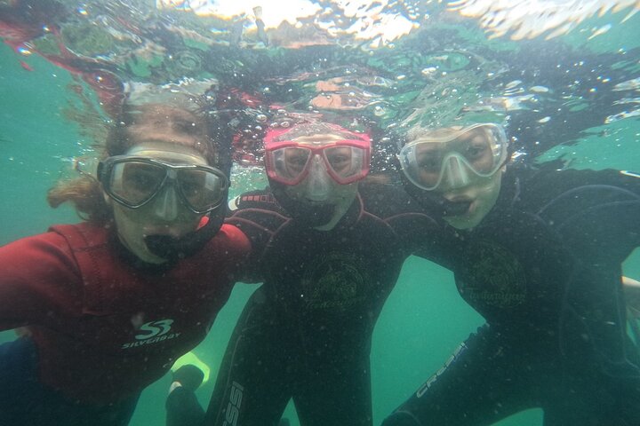 Begeleid snorkelen met foto's in Turtle Paradise