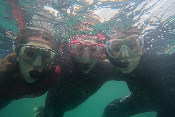 Begeleid snorkelen met foto's in Turtle Paradise