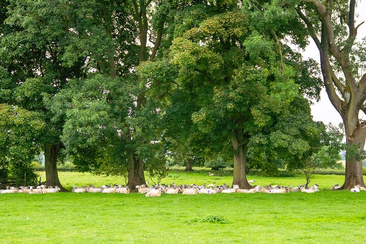 Cotswolds in een dagtour vanuit Moreton-in-Marsh / Stratford-on-Avon