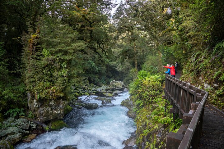 Tour di Milford Sound di un'intera giornata con crociera e passeggiate da Te Anau
