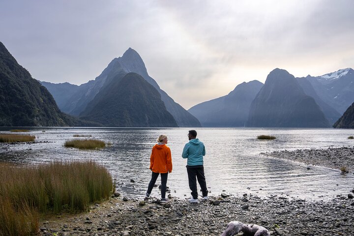 Tour di Milford Sound di un'intera giornata con crociera e passeggiate da Te Anau