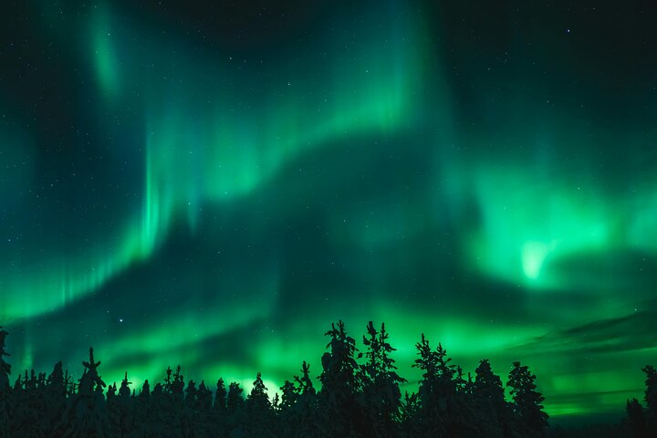 Aurora Borealis Experience Night Edition