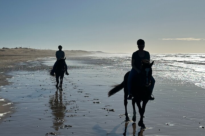 Paseos a caballo en Essaouira - Essaouira HorseRiding