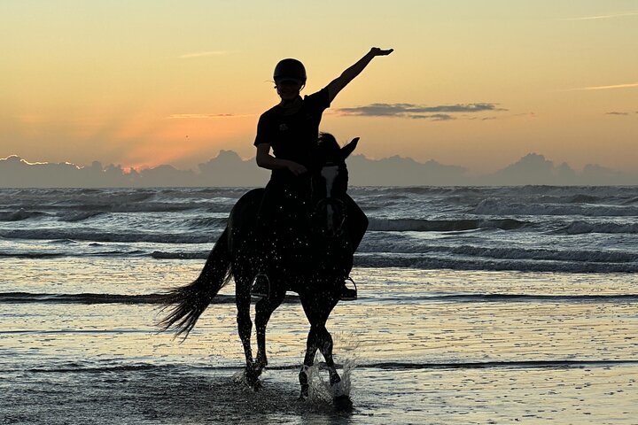 Paseos a caballo en Essaouira - Essaouira HorseRiding
