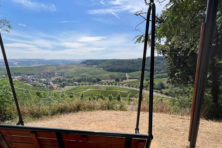 Luxembourg: Moselle Wine Tasting & Castle Private Day Tour