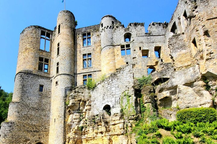 Luxembourg: Moselle Wine Tasting & Castle Private Day Tour