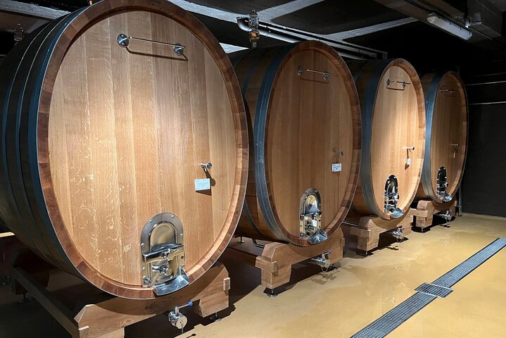 Luxembourg: Moselle Wine Tasting & Castle Private Day Tour
