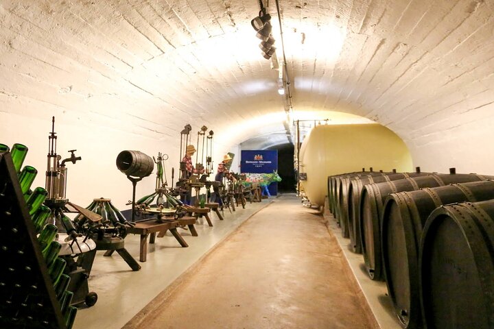 Luxembourg: Moselle Wine Tasting & Castle Private Day Tour