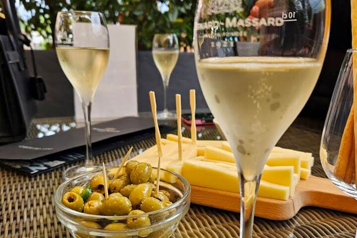 Luxembourg: Moselle Wine Tasting & Castle Private Day Tour