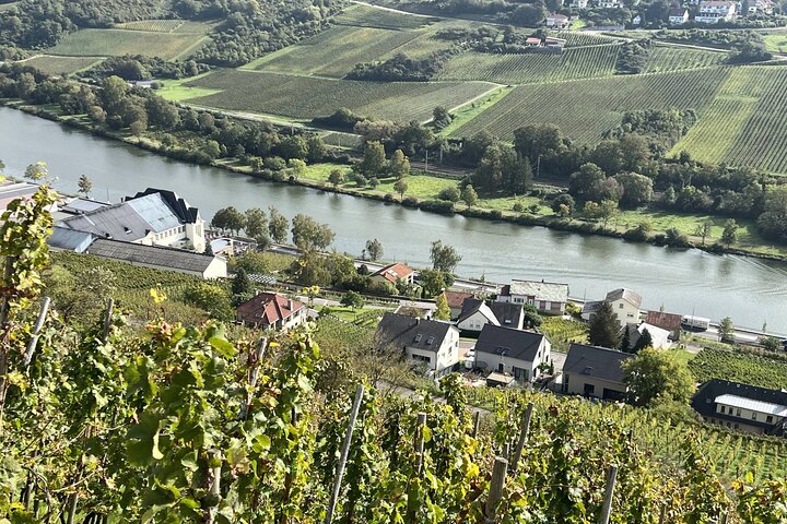 Luxembourg: Moselle Wine Tasting & Castle Private Day Tour