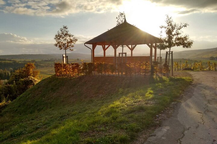 Luxembourg: Moselle Wine Tasting & Castle Private Day Tour