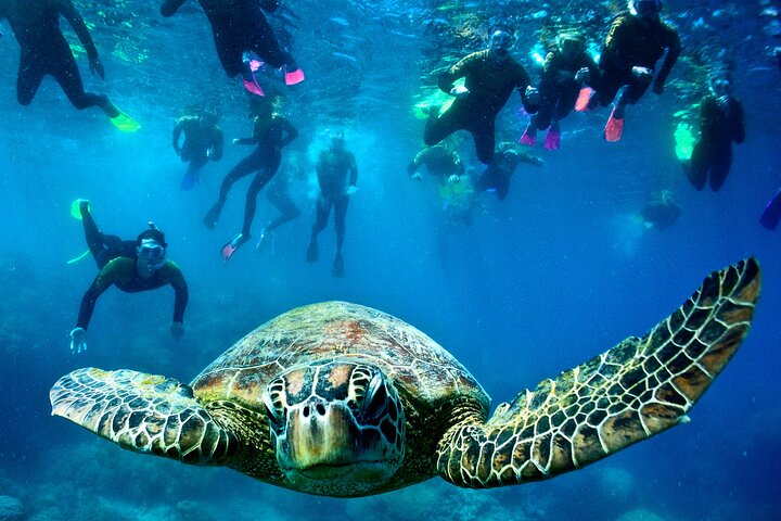 Tour di navigazione, SUP e snorkeling nelle Isole Whitsunday - Bassa affluenza