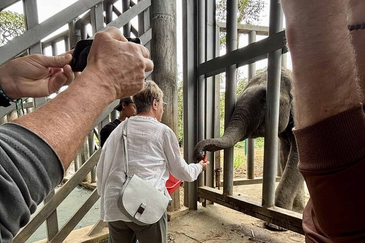 Santuario dell'Elefante di Yok Don e Villaggio del Don