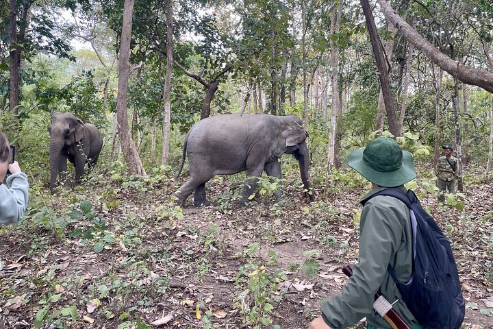 Santuario dell'Elefante di Yok Don e Villaggio del Don