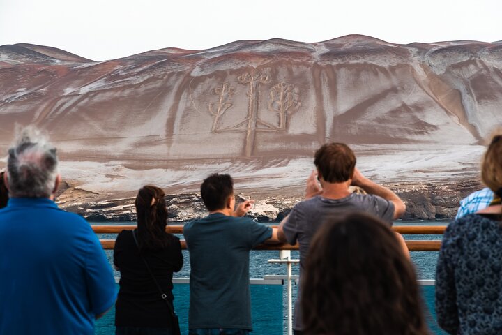 Ballestas Islands Wildlife : Excursion privée à terre depuis le port de Pisco