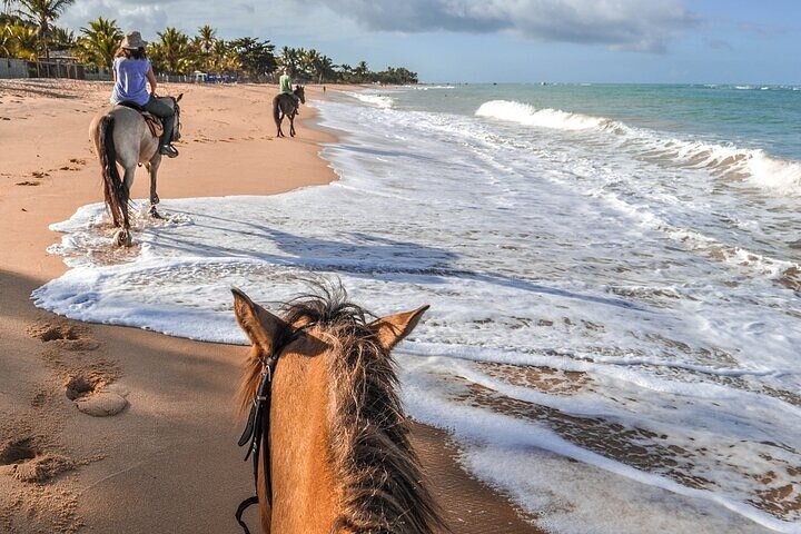 Domitai Park 9 Attractions with Lunch in Punta Cana