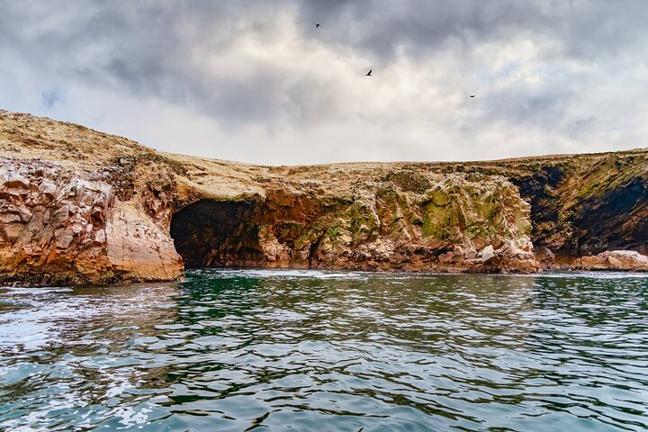 Ballestas Islands Wildlife : Excursion privée à terre depuis le port de Pisco