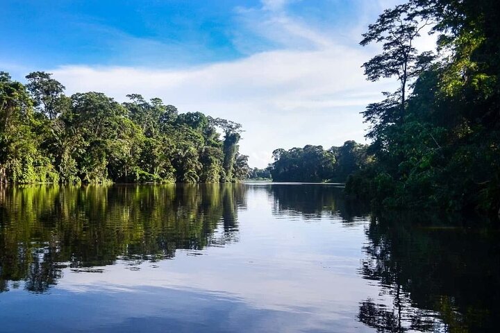 Tortuguero-Tour auf den Kanälen im Kanu mit Elektromotor