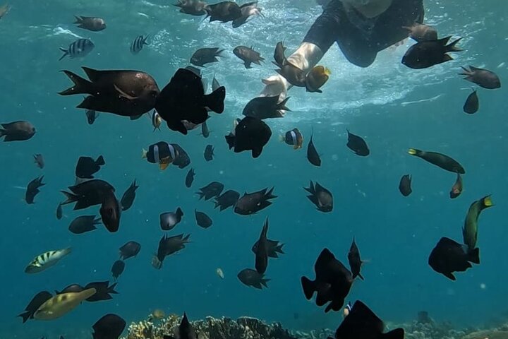 Tour privado de snorkel – Gili Kondo, Gili Bidara y Gili Kapal