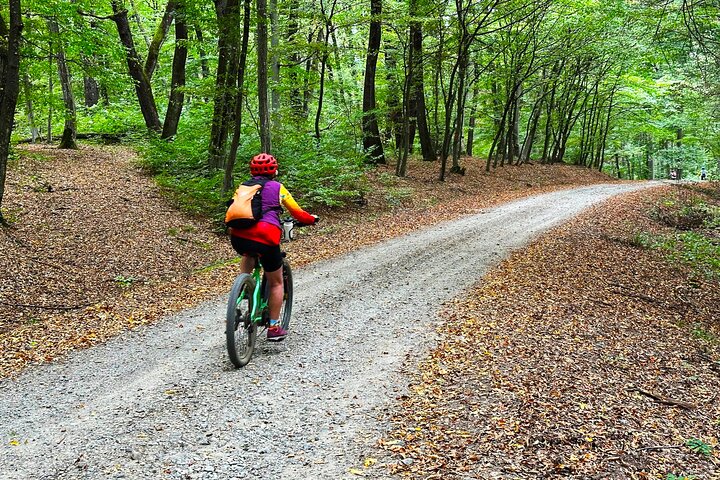 Maramures Hantverk och cykelsemester 6 dagars kulturell cykeltur