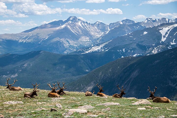 Oppdag Rocky Mountain nasjonalpark - liten gruppe tur og picnic