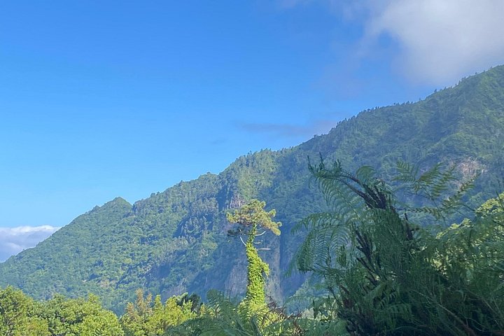Floresta Fanal, Skywalk & Lava Pools: Expedição 4x4 da Madeira Ocidental