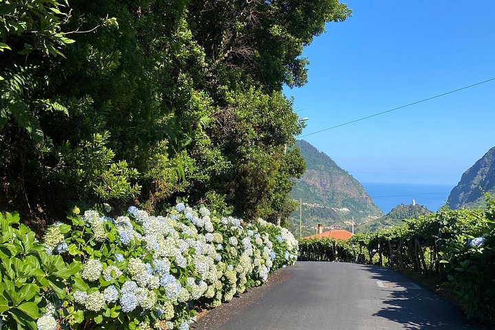 Floresta Fanal, Skywalk & Lava Pools: Expedição 4x4 da Madeira Ocidental