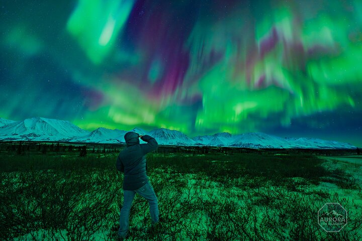 SkyChaseTM | Norrskensupplevelse - Gratis fotografi och mer
