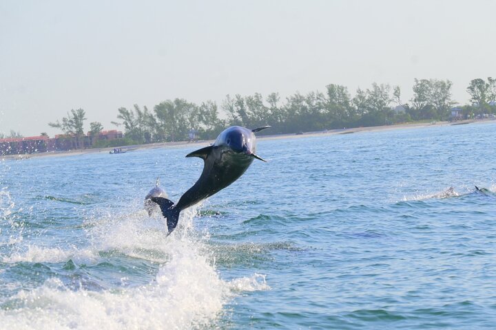Hoteller i nærheden af Bradenton Beach & Anna Maria Island
