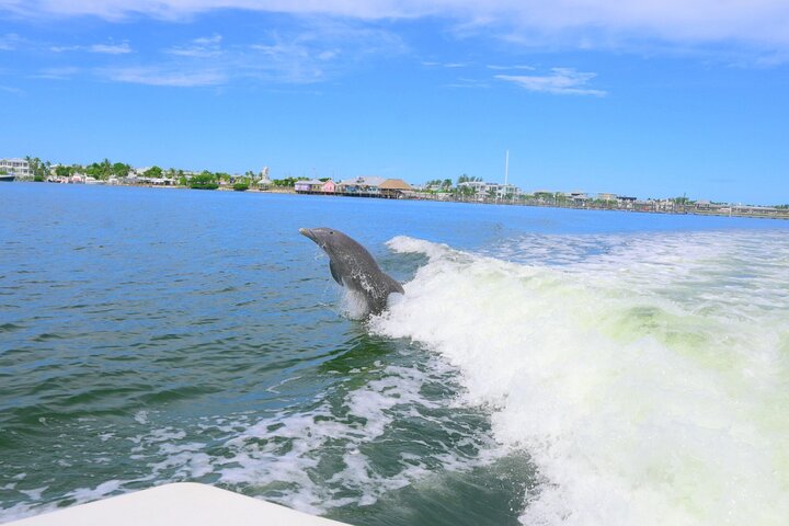Hoteller i nærheden af Bradenton Beach & Anna Maria Island