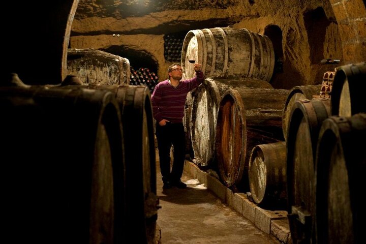 Vinsmagning med mad og Tufa kælder besøg i Orvieto