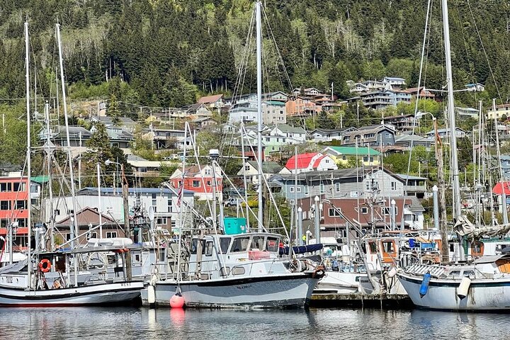 Ketchikan Rainforest Adventure Naturaleza y vida silvestre Tour