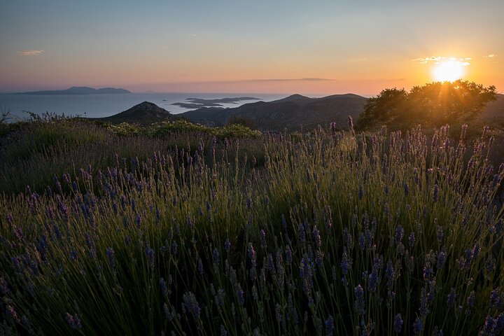 Hidden Hvar Eco Tuk Tuk Tour: Campos de Lavanda, Aldeias e Vistas