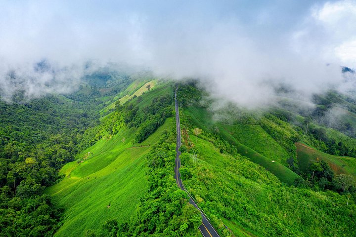 Chikmagalur Coffee Trail Tour Privado de 2 Dias saindo de Bangalore