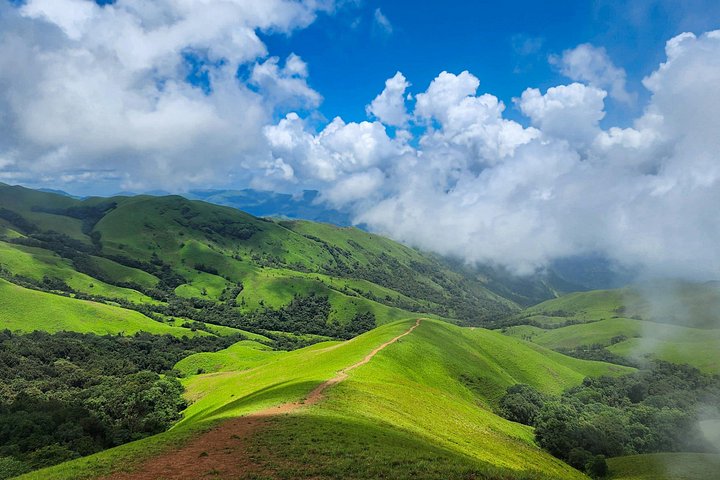 Chikmagalur Coffee Trail Tour Privado de 2 Dias saindo de Bangalore