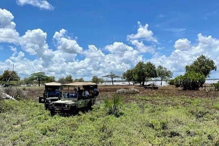 1 dags safaritur till Mikumi nationalpark från Zanzibar