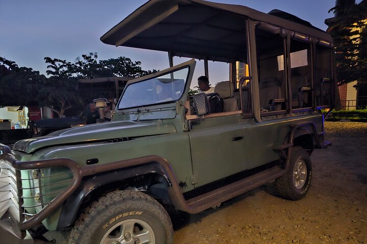 Safari 3 dager fra Zanzibar til Mikumi nasjonalpark med ferge