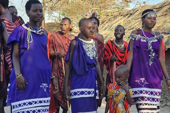 Safari 3 dager fra Zanzibar til Mikumi nasjonalpark med ferge