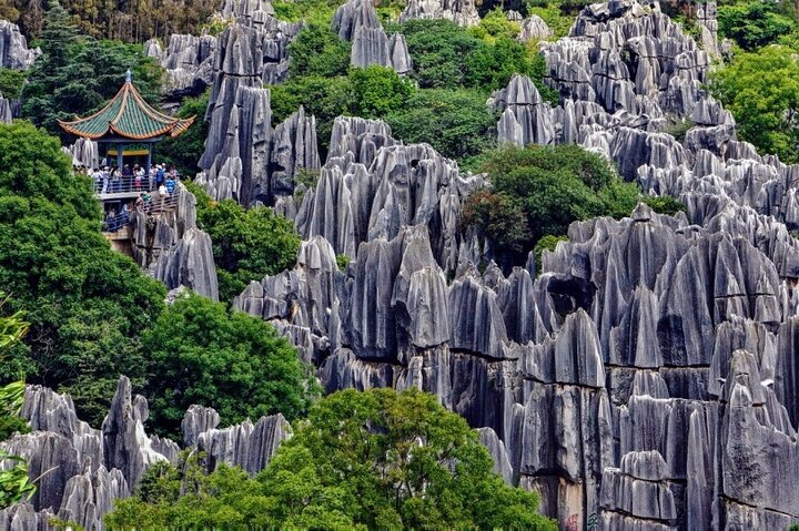 Stone Forest + Pato asado de Yiliang + Tour privado por la ciudad de Kunming